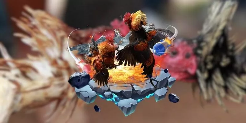 Cập nhật kết quả và dự đoán trận đấu đá gà trực tiếp hôm nay tại Vin88